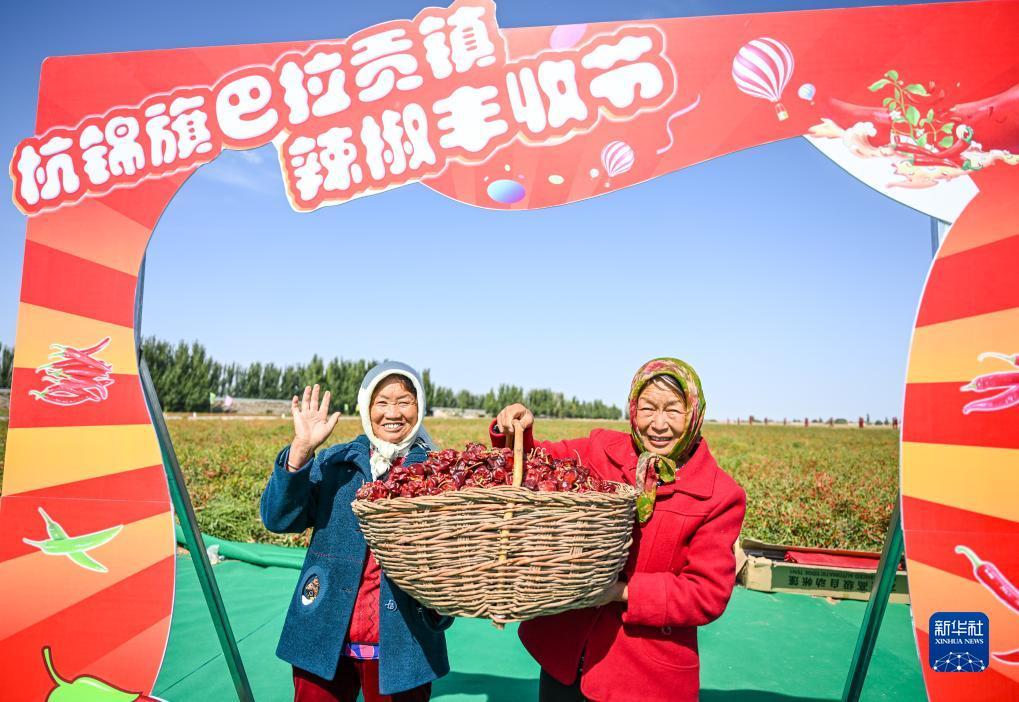 xpj领导者下载